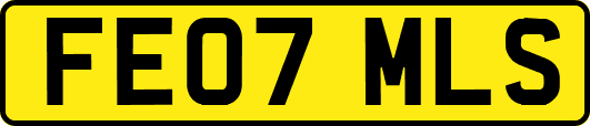 FE07MLS