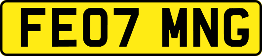FE07MNG