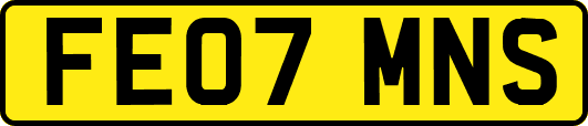 FE07MNS