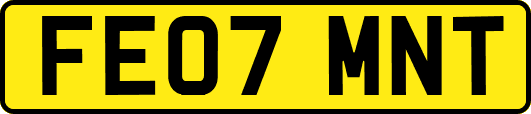 FE07MNT