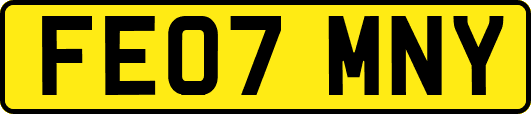 FE07MNY