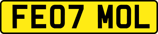 FE07MOL