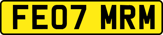FE07MRM