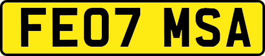 FE07MSA
