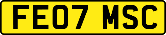 FE07MSC