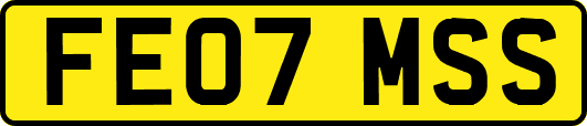 FE07MSS