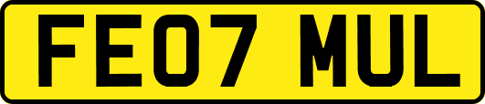 FE07MUL