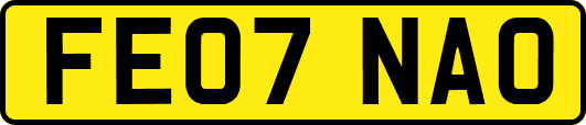 FE07NAO