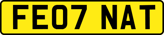 FE07NAT