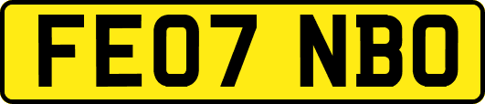 FE07NBO