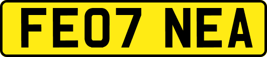 FE07NEA