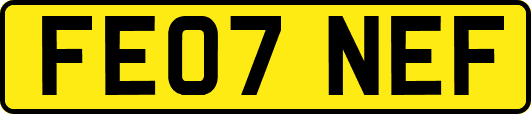 FE07NEF