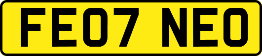 FE07NEO