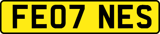 FE07NES