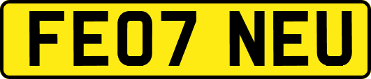 FE07NEU