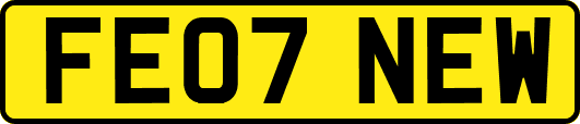 FE07NEW