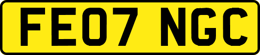 FE07NGC