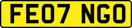 FE07NGO