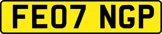 FE07NGP