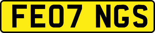 FE07NGS