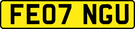 FE07NGU