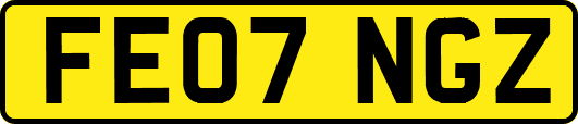 FE07NGZ