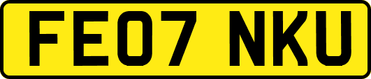 FE07NKU