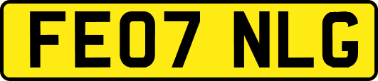 FE07NLG