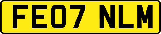 FE07NLM