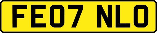 FE07NLO