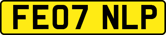 FE07NLP
