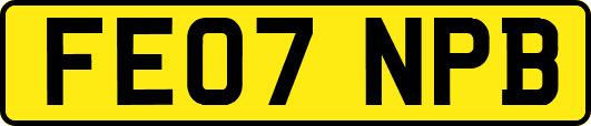 FE07NPB