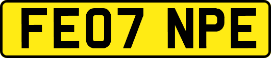FE07NPE