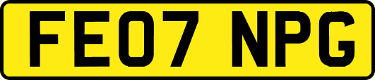 FE07NPG