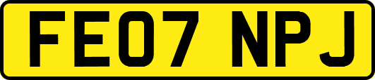 FE07NPJ