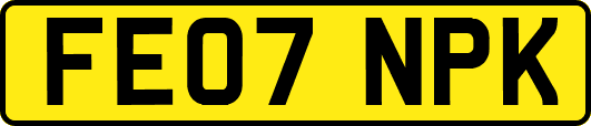 FE07NPK