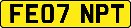 FE07NPT