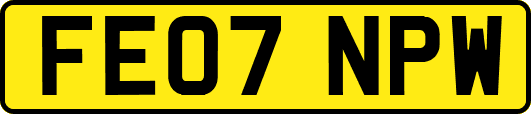 FE07NPW