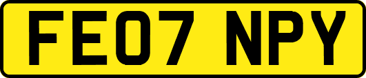 FE07NPY