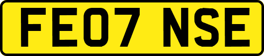 FE07NSE