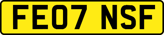 FE07NSF