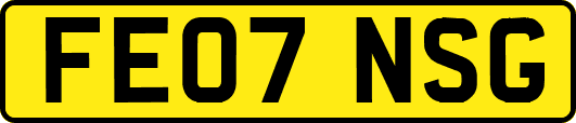 FE07NSG