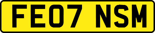FE07NSM