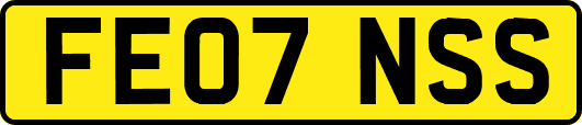 FE07NSS