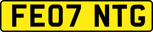FE07NTG