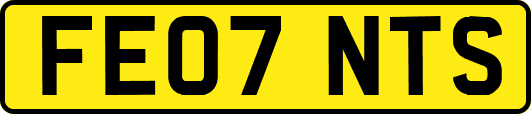 FE07NTS