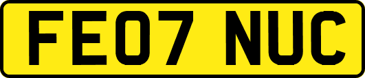 FE07NUC