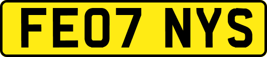 FE07NYS