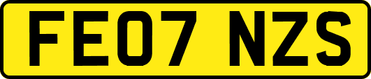 FE07NZS