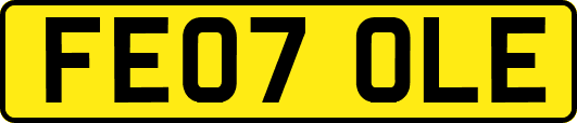 FE07OLE